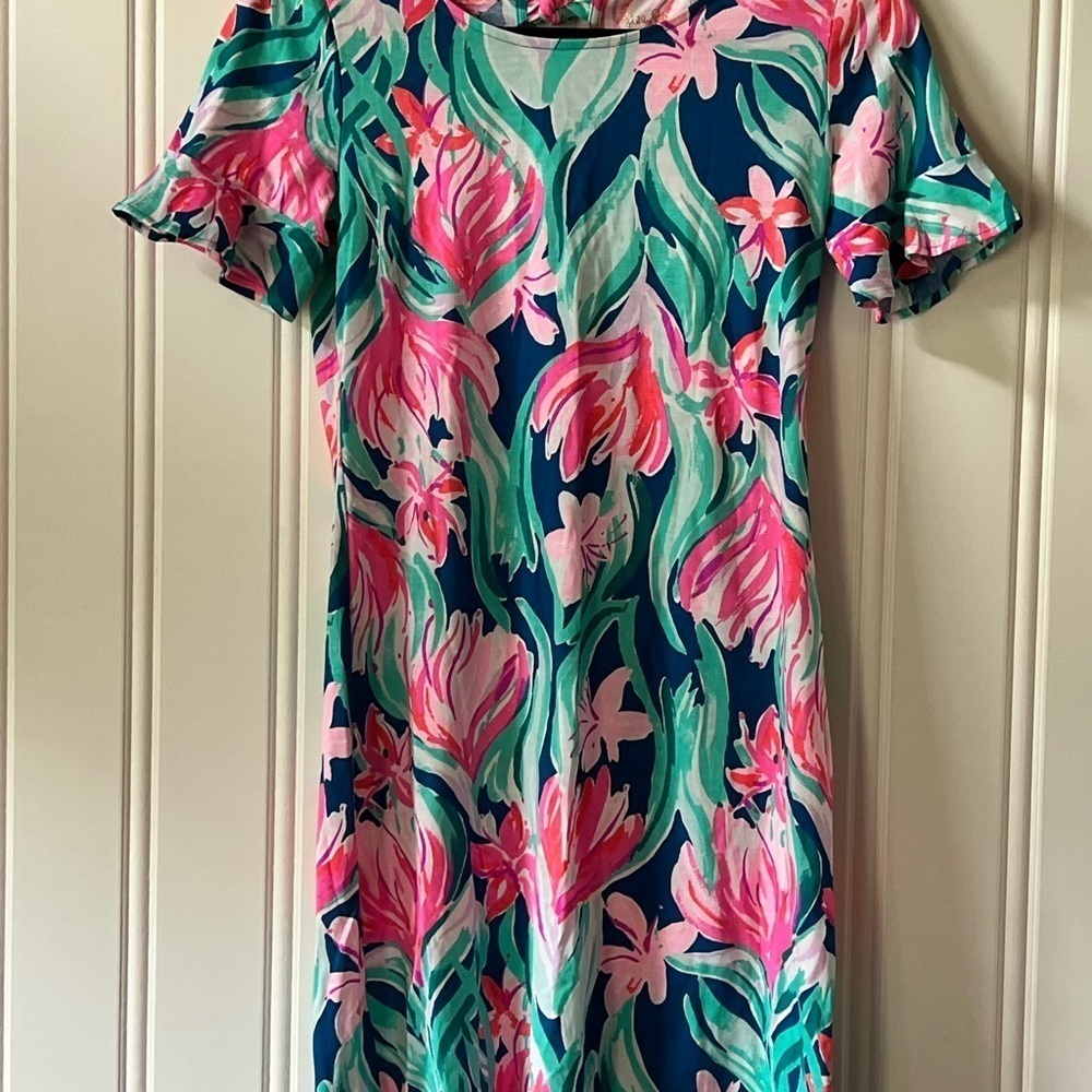 Lillyโ Pulitzer Pink and Green Ruffled Sundress Size XS